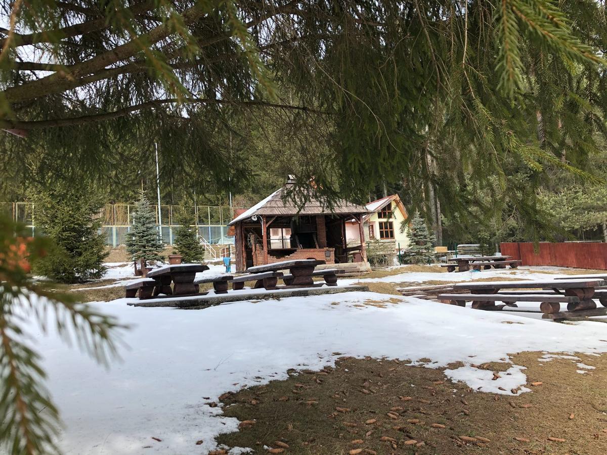Pensiunea Vanatorul Vatra Dornei Exteriör bild
